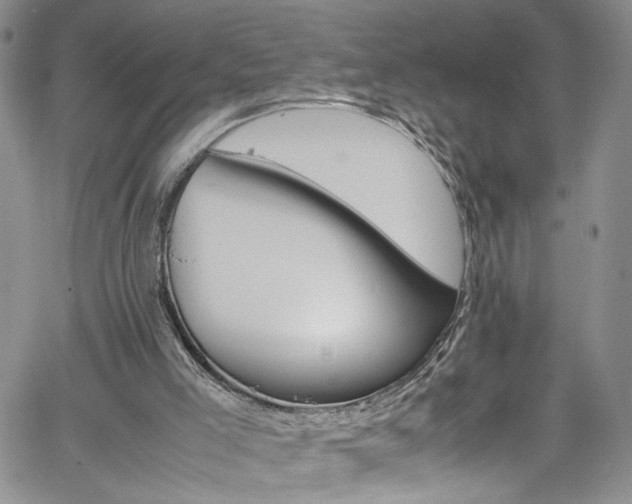 X0000061740005200512021454
