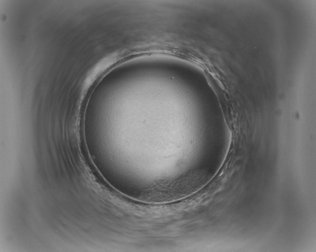 X0000061740006200512021454
