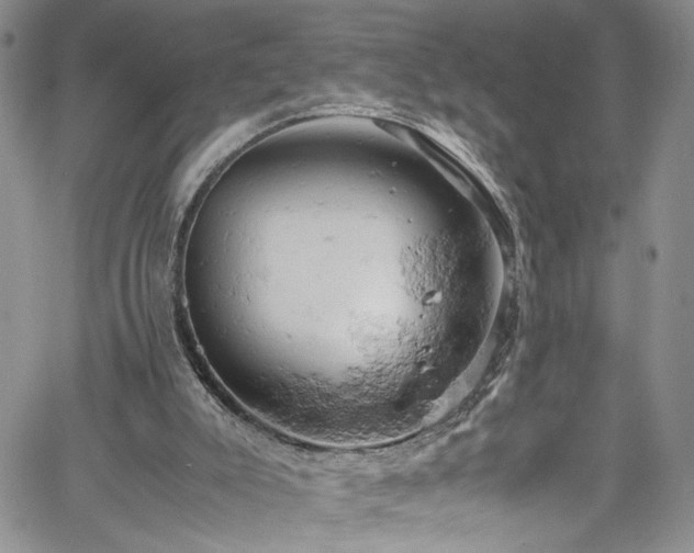 X0000061740007200512021454