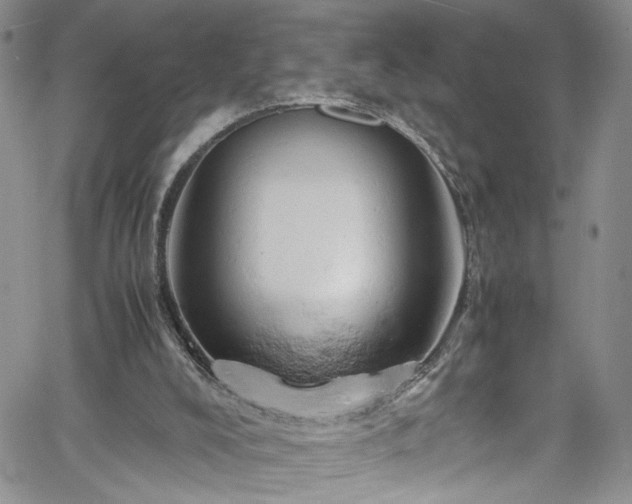 X0000061740008200512021454