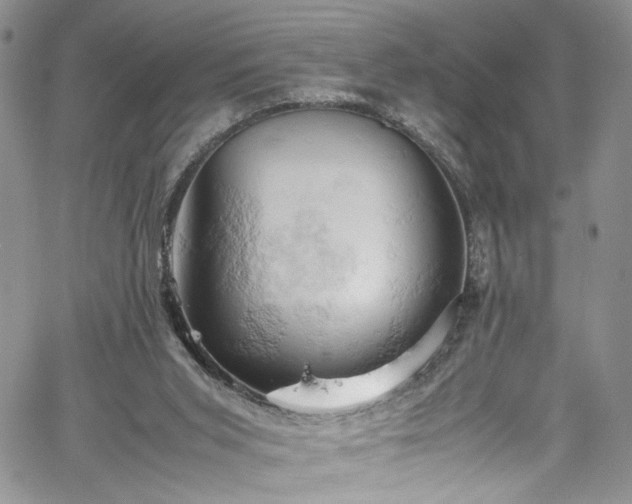 X0000061740015200512021453
