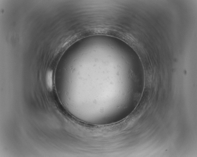 X0000061740028200512021453