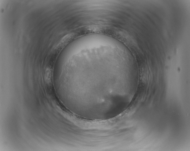 X0000061740036200512021453