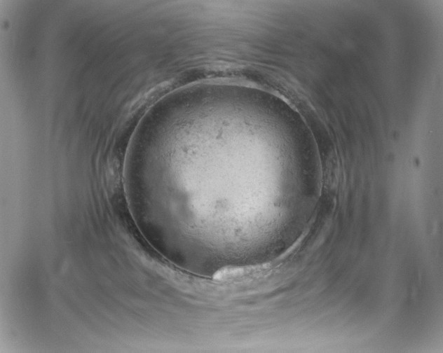 X0000061740043200512021453