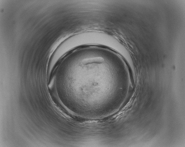 X0000061740052200512021452