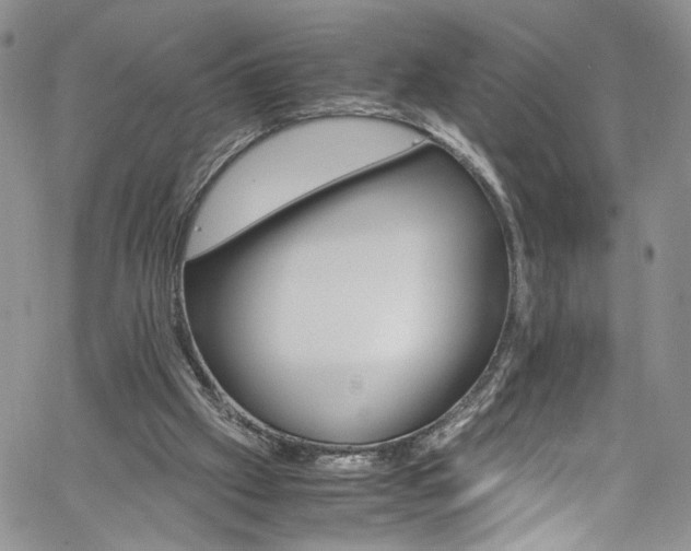 X0000061740057200512021452