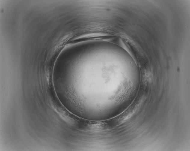X0000061740072200512021452