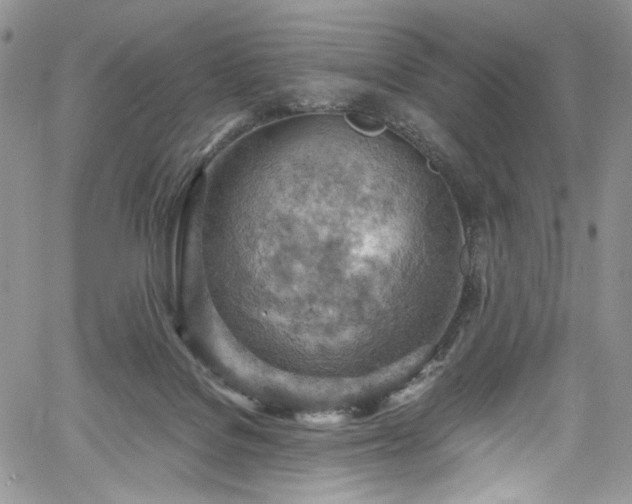 X0000061740076200512021453