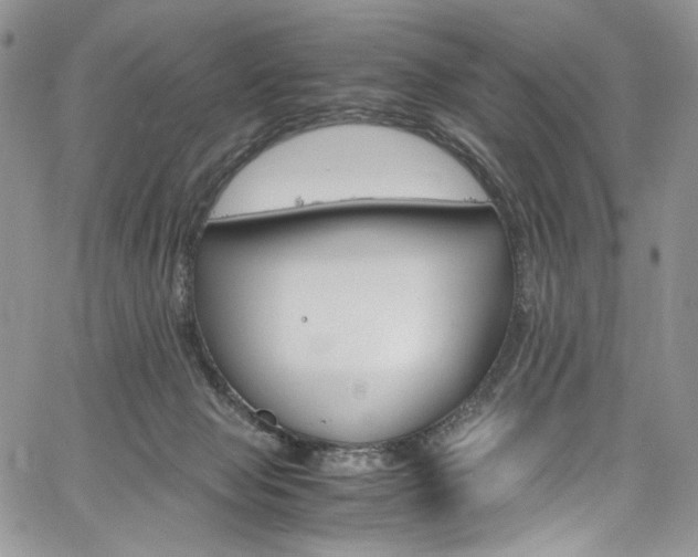 X0000061740077200512021453