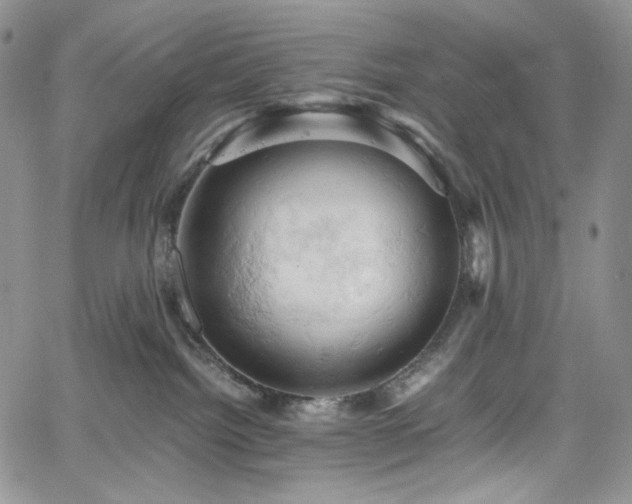 X0000061740092200512021453