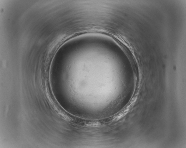 X0000061740097200512021452