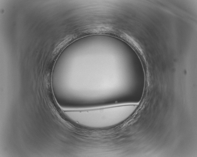 X0000061740105200512021452