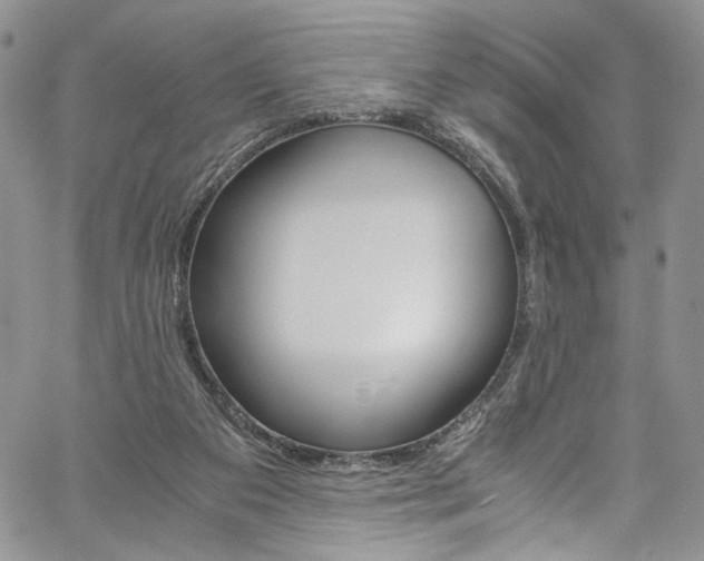 X0000061740113200512021452