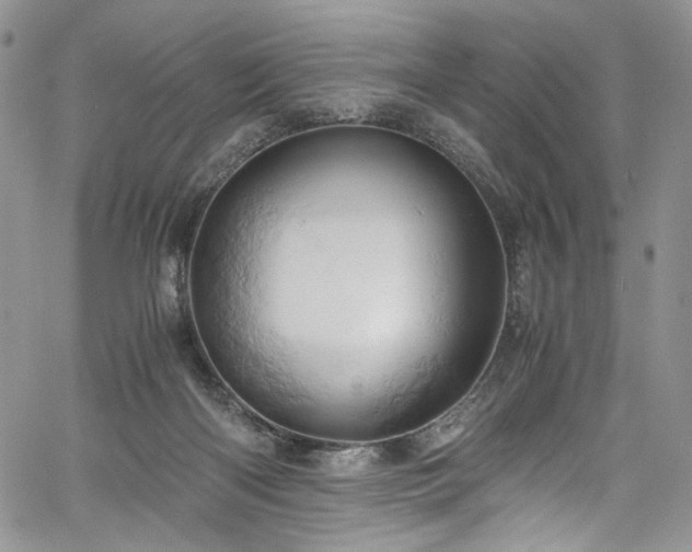 X0000061740122200512021452
