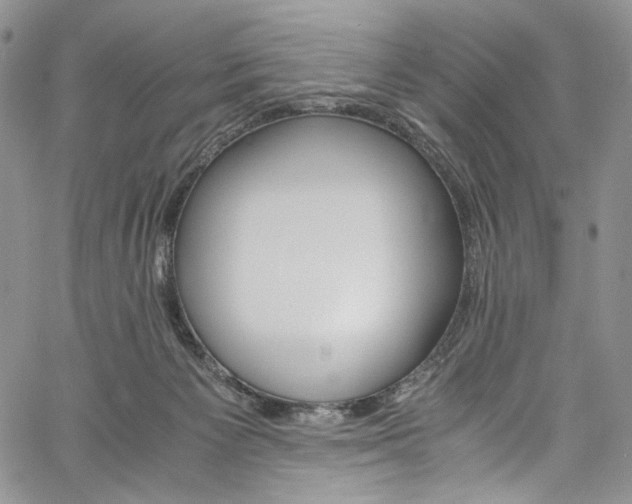 X0000061740125200512021452