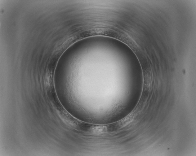 X0000061740126200512021452