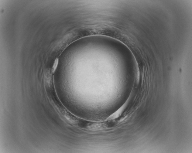 X0000061740129200512021452