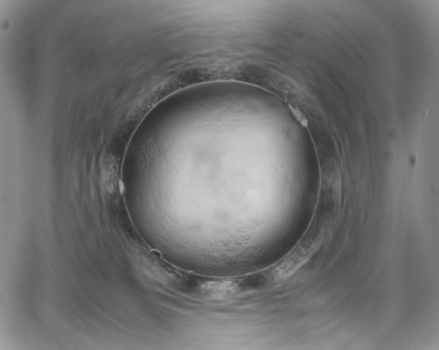 X0000061740133200512021451