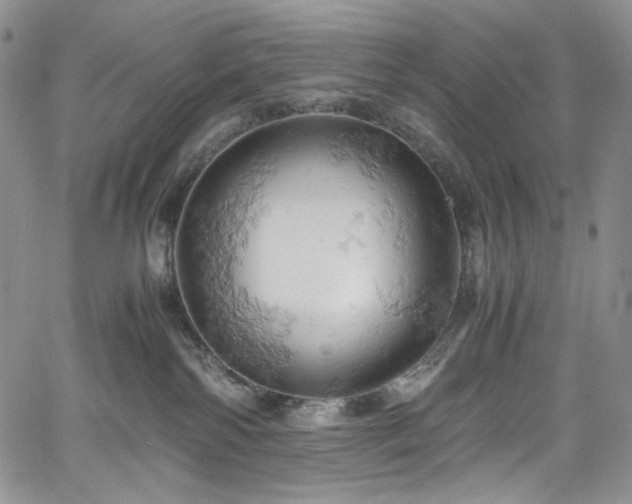 X0000061740138200512021451