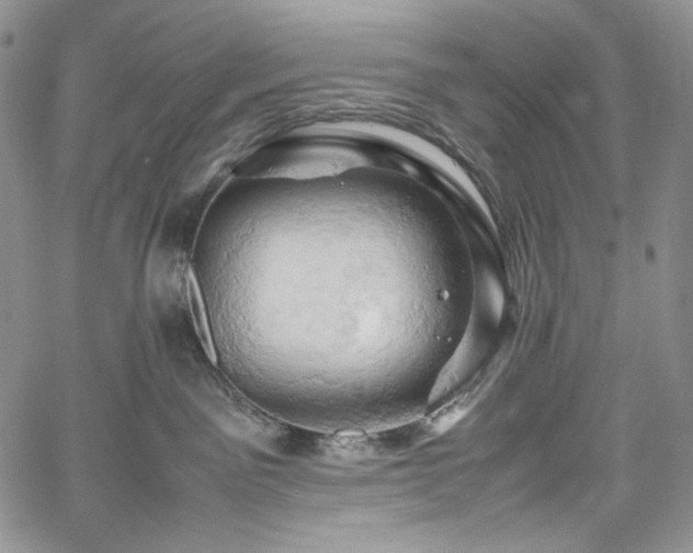 X0000061740141200512021451