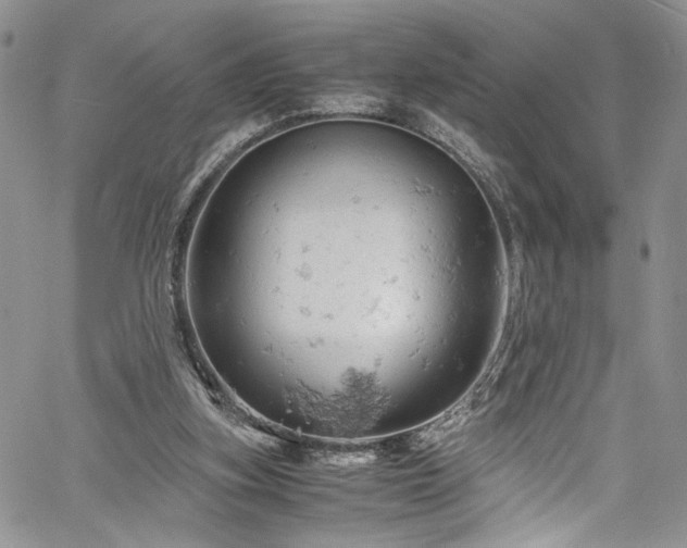 X0000061740155200512021451