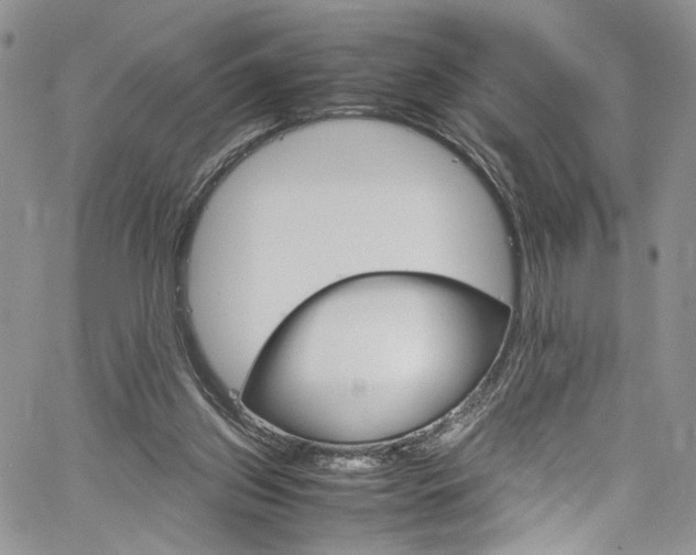 X0000061740157200512021451