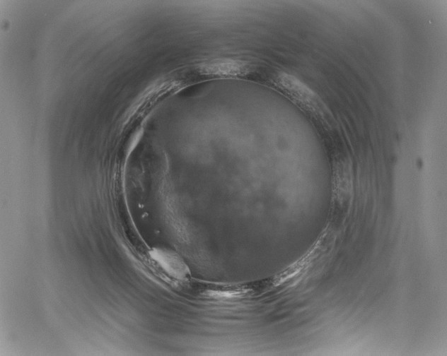 X0000061740167200512021451