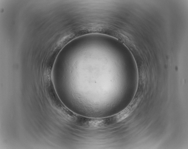 X0000061740172200512021451