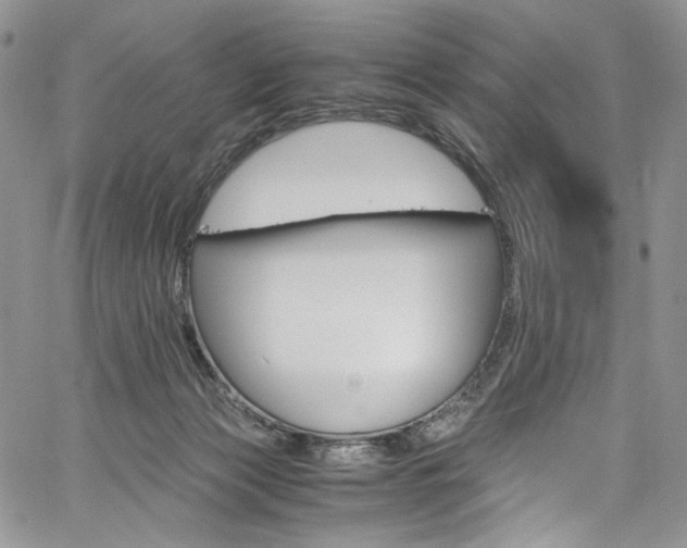 X0000061740173200512021451