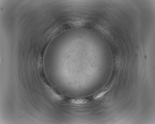 X0000061740181200512021451