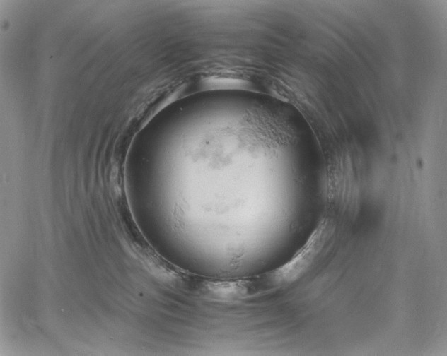 X0000061740187200512021451