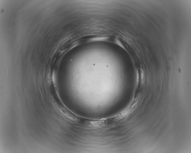 X0000061740188200512021451