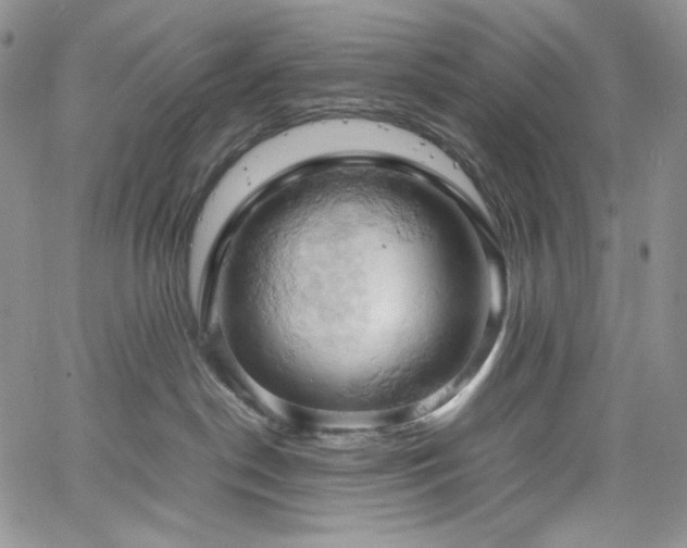 X0000061740190200512021451