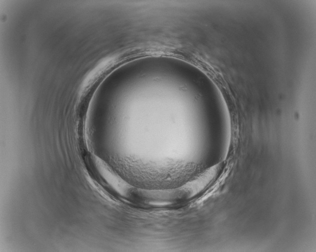 X0000061740197200512021450
