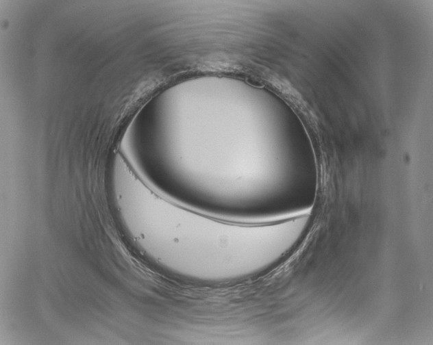 X0000061740201200512021450