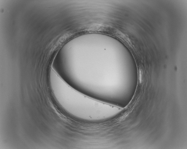 X0000061740205200512021450