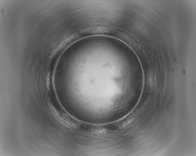 X0000061740206200512021450