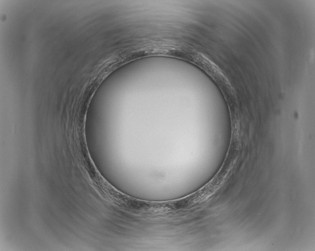 X0000061740209200512021450