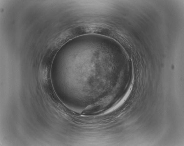 X0000061740219200512021450