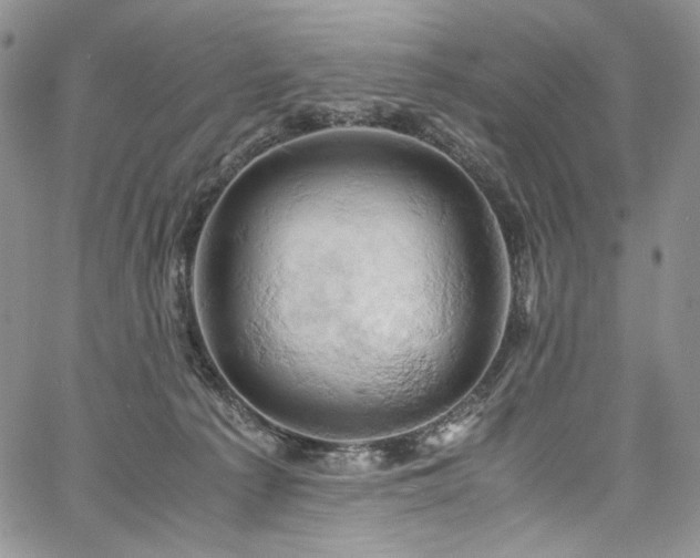 X0000061740225200512021450