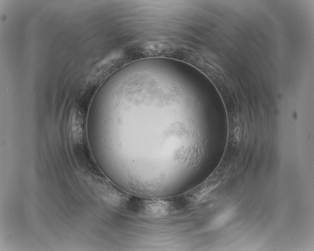 X0000061740226200512021450