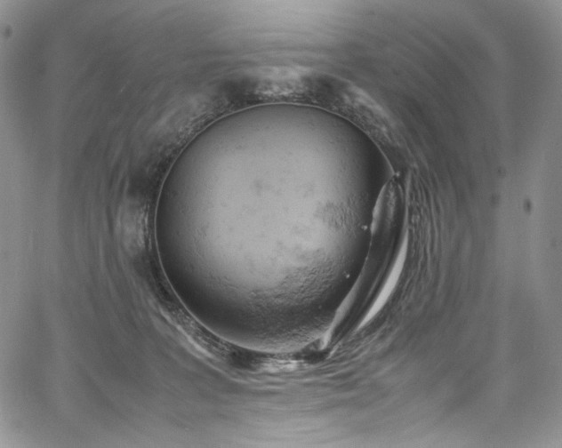 X0000061740227200512021450