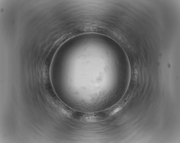 X0000061740228200512021450