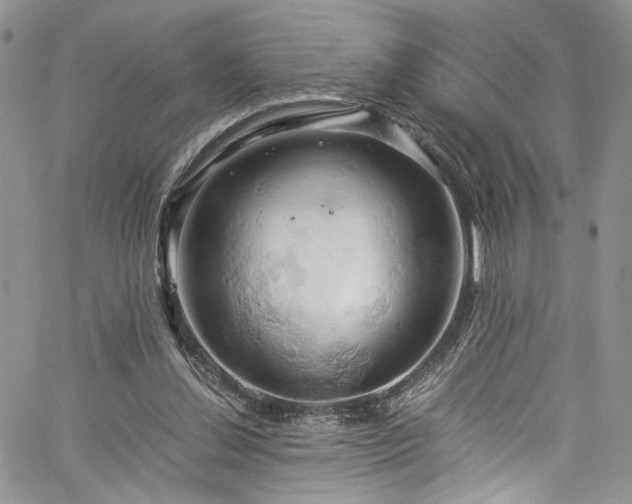 X0000061740252200512021449