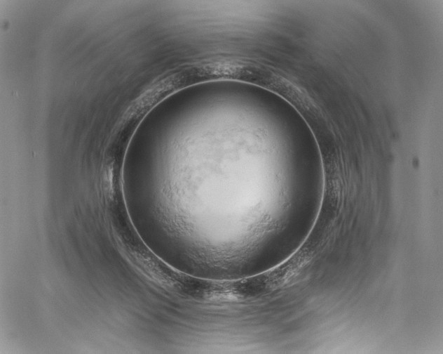 X0000061740262200512021449