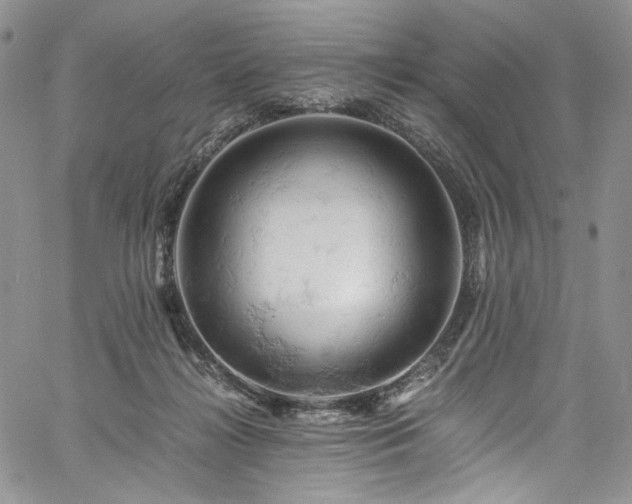 X0000061740268200512021449