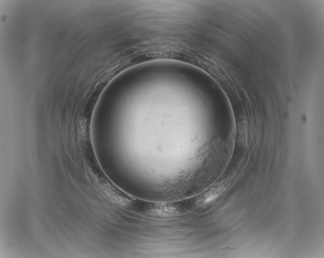 X0000061740278200512021450