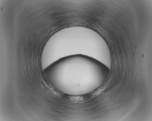 X0000061740281200512021450