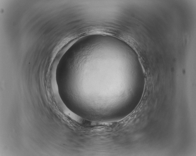X0000061740289200512021449