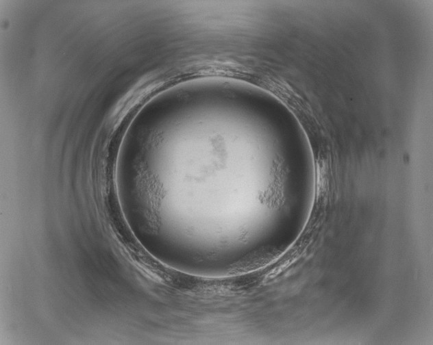 X0000061740291200512021449